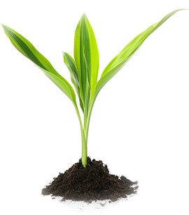 Юридические консультации